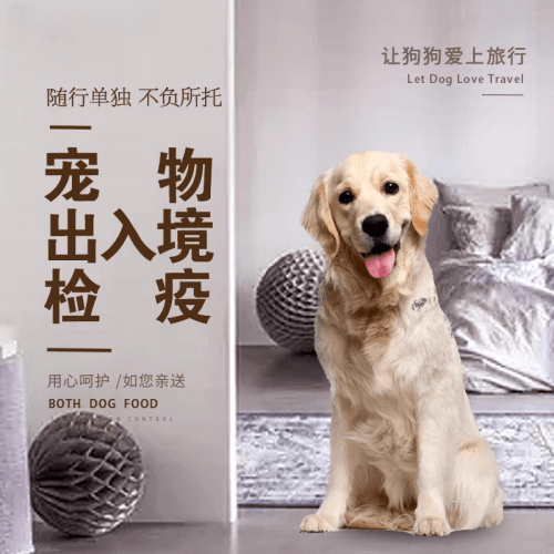 大兴区宠物托运到哥伦比亚猫狗宠物入境规定和