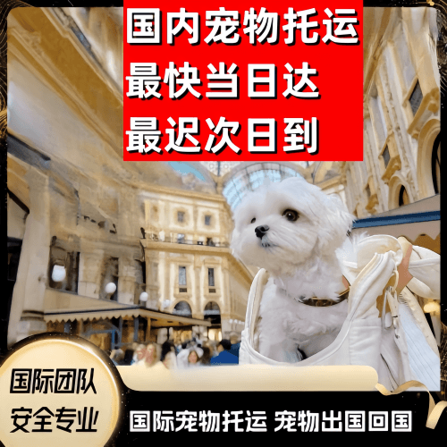 大兴区到澳大利亚（澳洲）宠物入境规定和要求